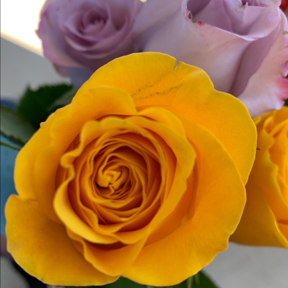 Meet your Posher, Lori